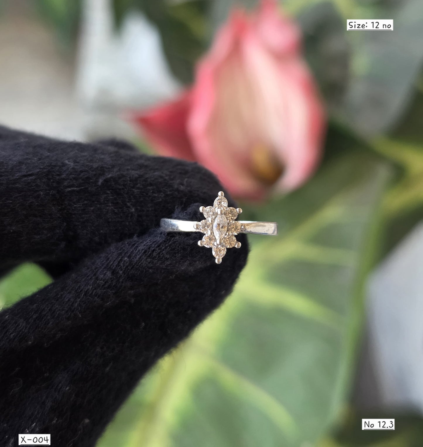 X 004 | RING